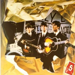 Пластинка Beatles The Beatles box (N5)